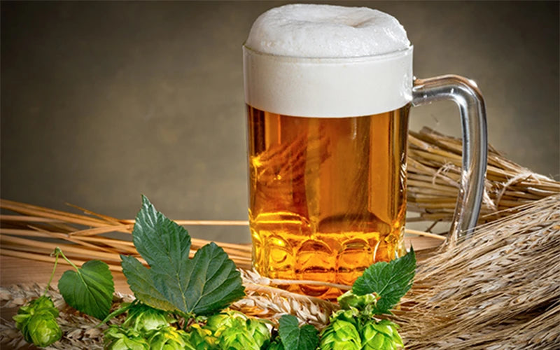 ¿Cómo se hace la cerveza?