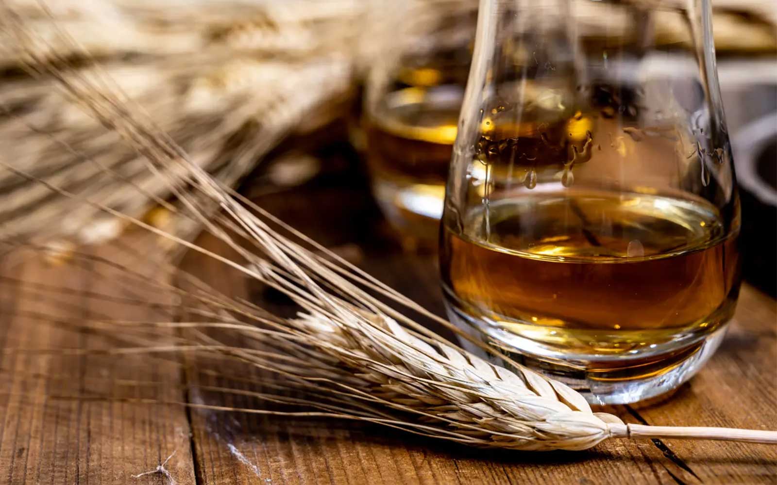 ¿Sabías de qué se hace el whisky?