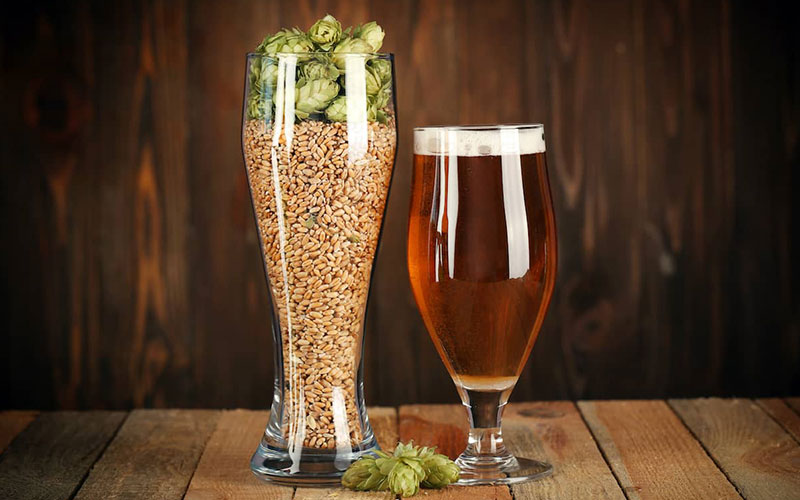 Aprende cómo hacer cerveza Lager