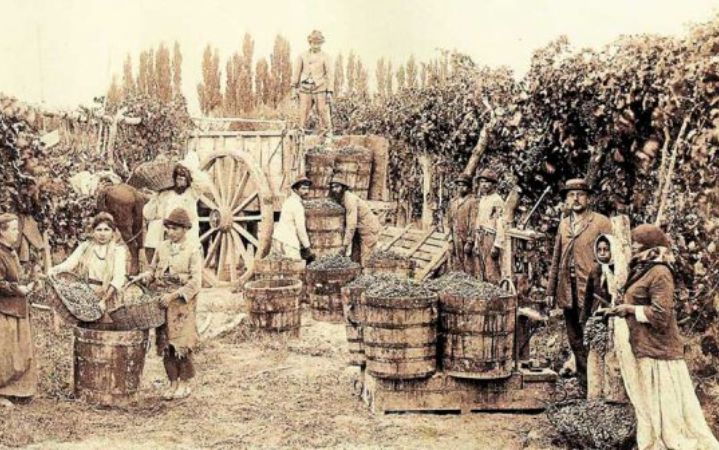 ¿De Dónde es el Pisco? La Batalla de Origen entre Chile y Perú