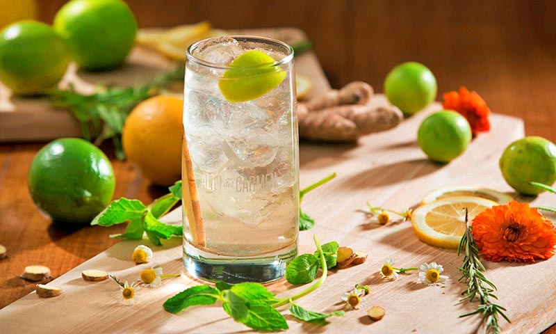 Receta Alto Tonic Original de Alto del Carmen