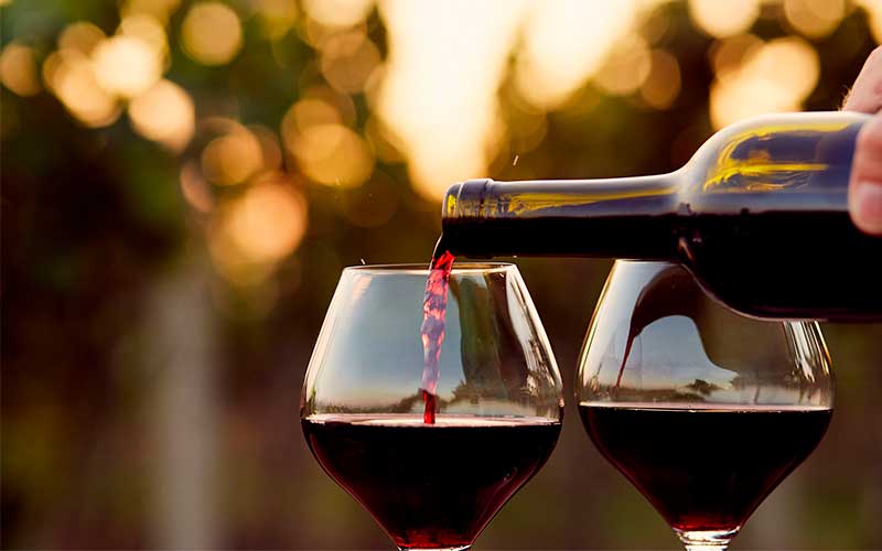 Mejores vinos chilenos: ¿Cuáles comprar?