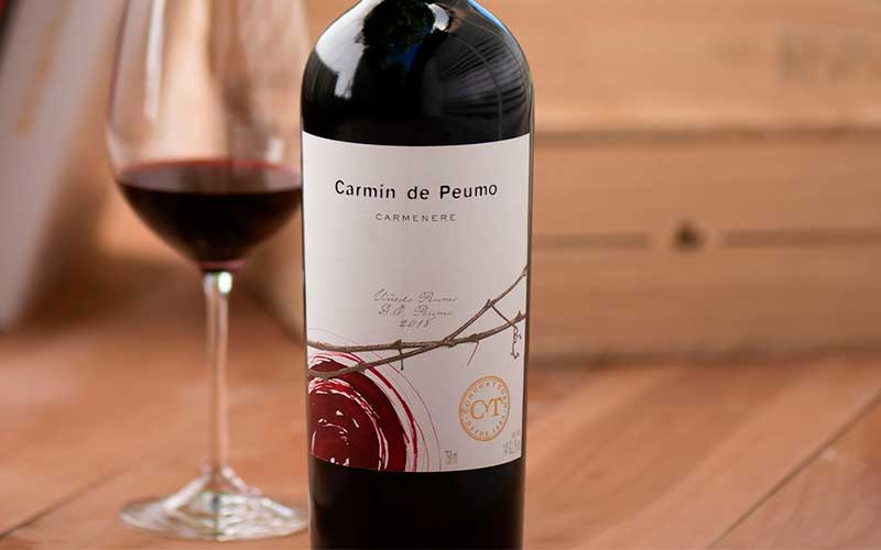 Los 5 mejores vinos tintos: ¿Cuáles comprar?