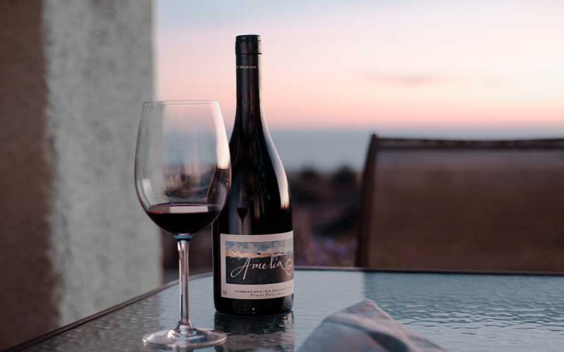 Vinos para regalar a un hombre ¡Sorpréndelo!