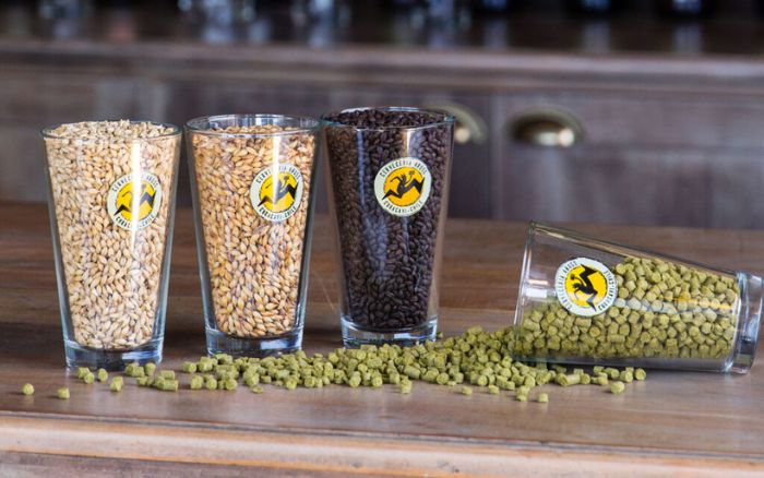 Cerveza artesanal: ¿cómo hacerla en simples pasos?