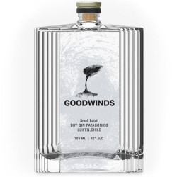 Gin Goodwinds