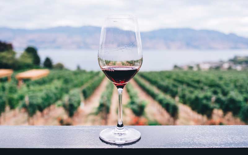 ¡Día nacional del vino chileno!