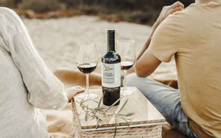 Los 5 Mejores Vinos Tintos Suaves de Chile