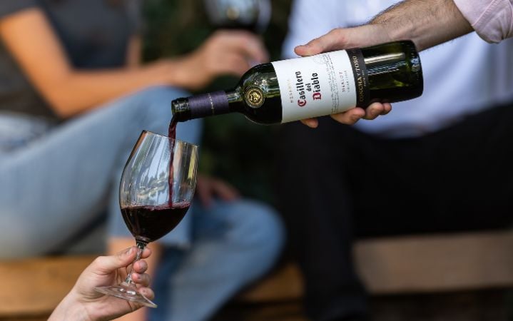 Los Mejores Vinos Merlot Baratos en Chile