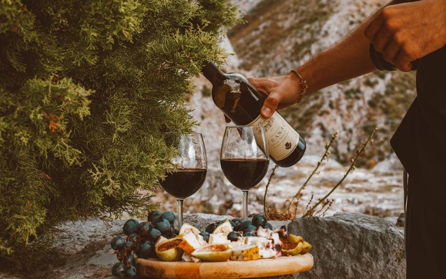 Con qué acompañar el vino carmenere