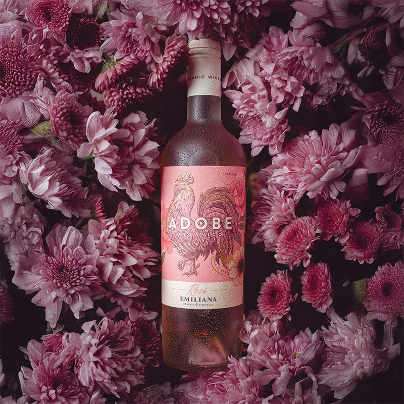Adobe Rose