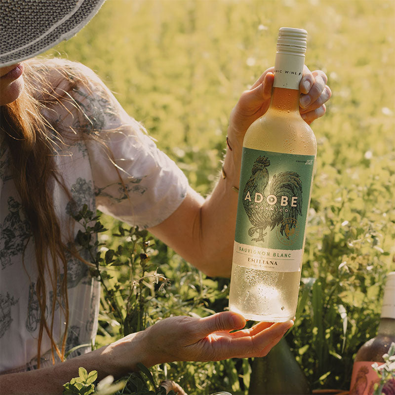 Adobe Sauvignon Blanc