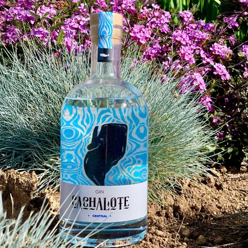 Gin Cachalote 700ml - Descorcha