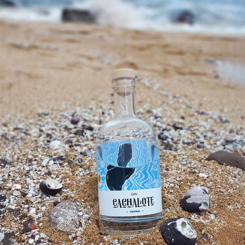 Gin Cachalote 700ml - Descorcha