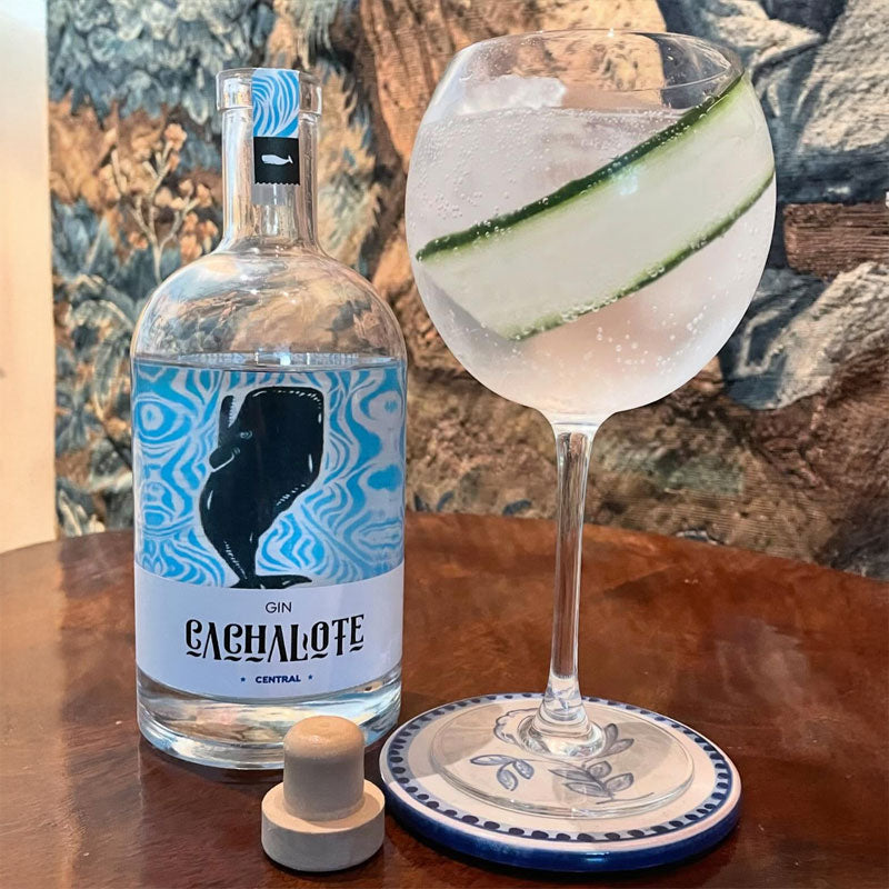 Gin Cachalote 700ml - Descorcha