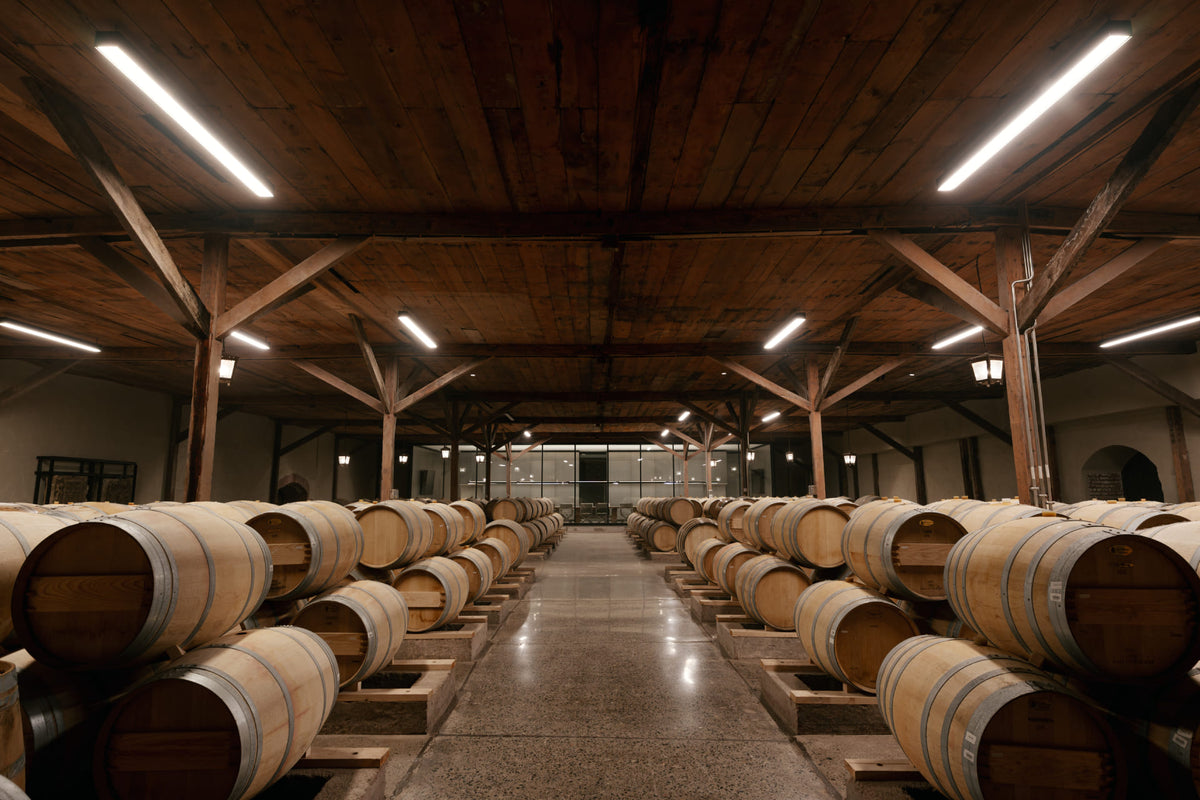 Bodega de barricas en Viña Concha y Toro