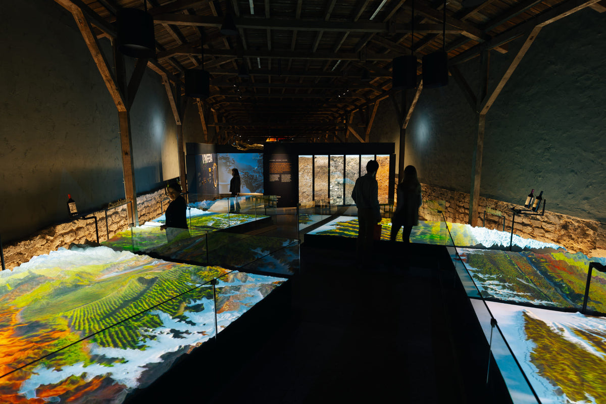 Experiencia sensorial en el Museo Casillero del Diablo