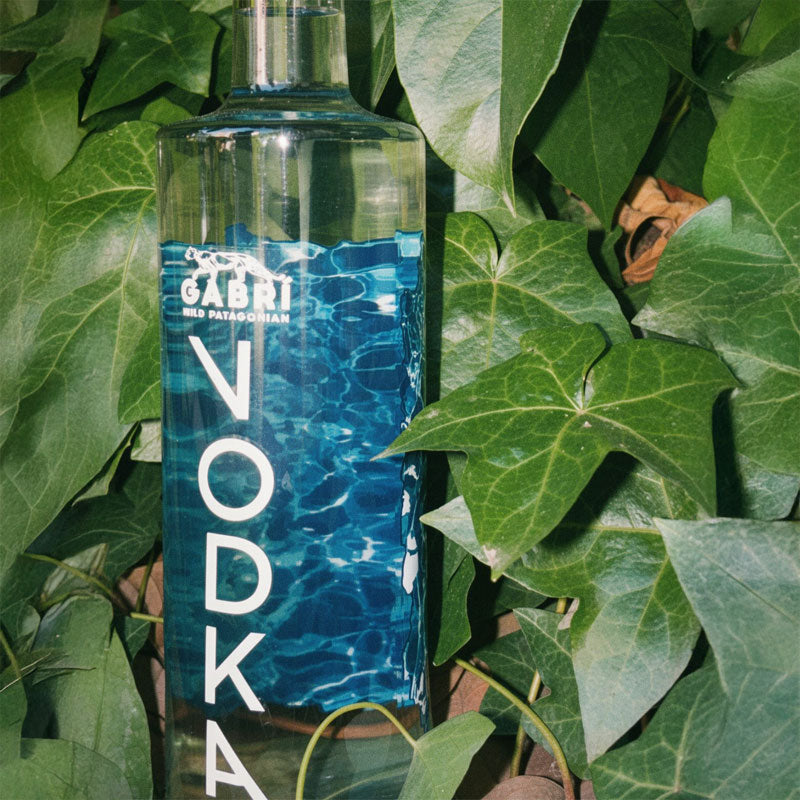 Vodka Gabri - Descorcha