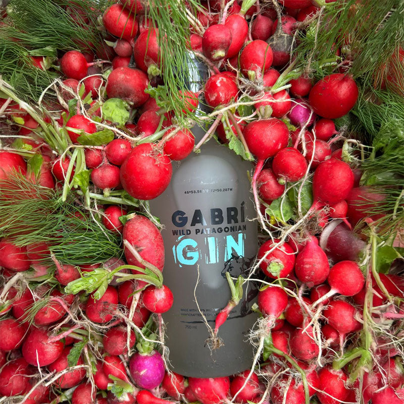 Gin Gabri - Descorcha