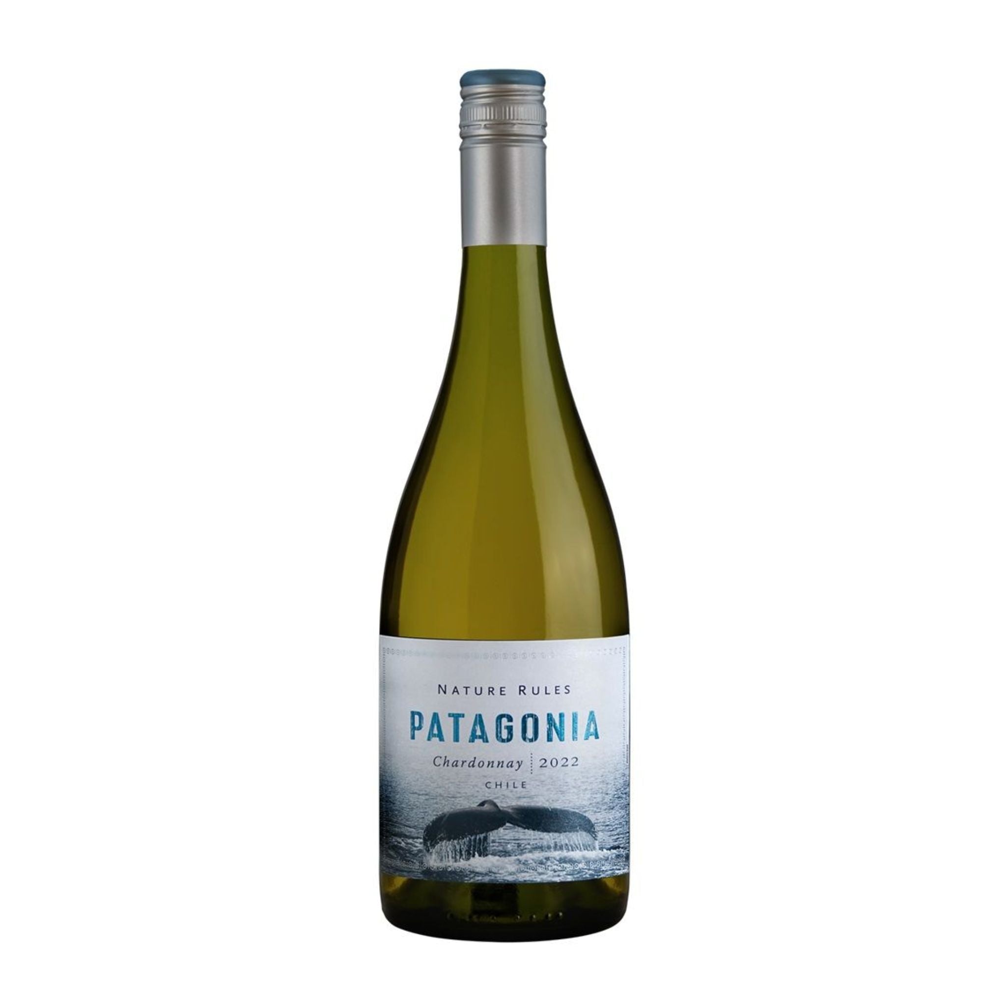 Patagonia Chardonnay