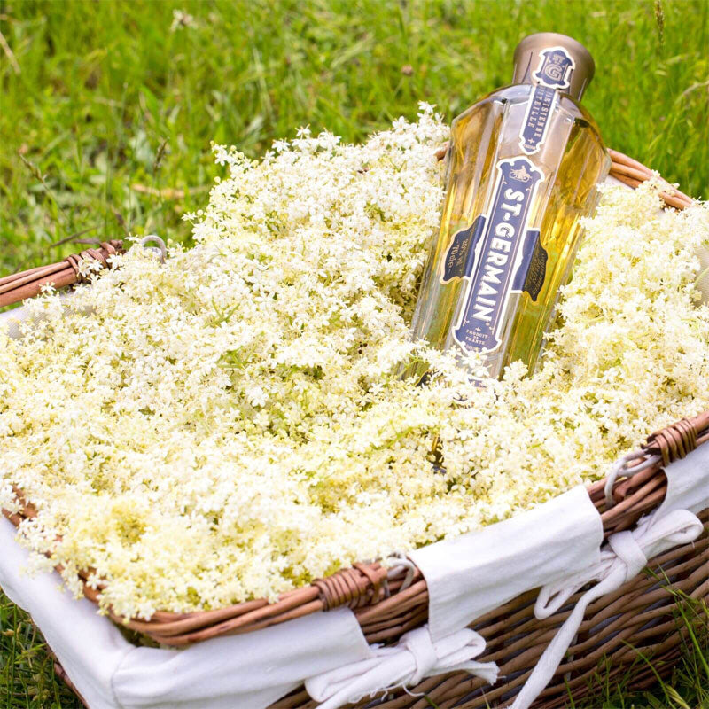 Licor St Germain Flor de Sauco - Descorcha