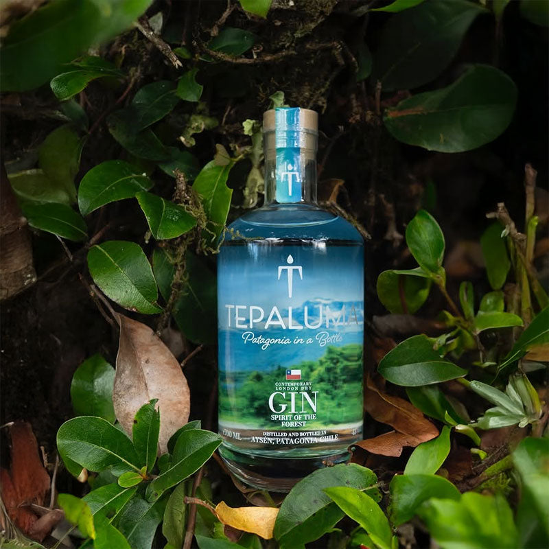 Gin Tepaluma - Descorcha