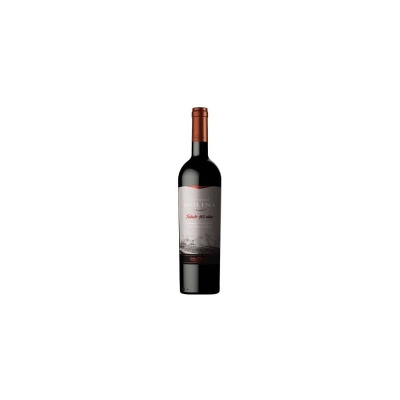 Castillo De Molina Tributo Cabernet Sauvignon - Descorcha Chile