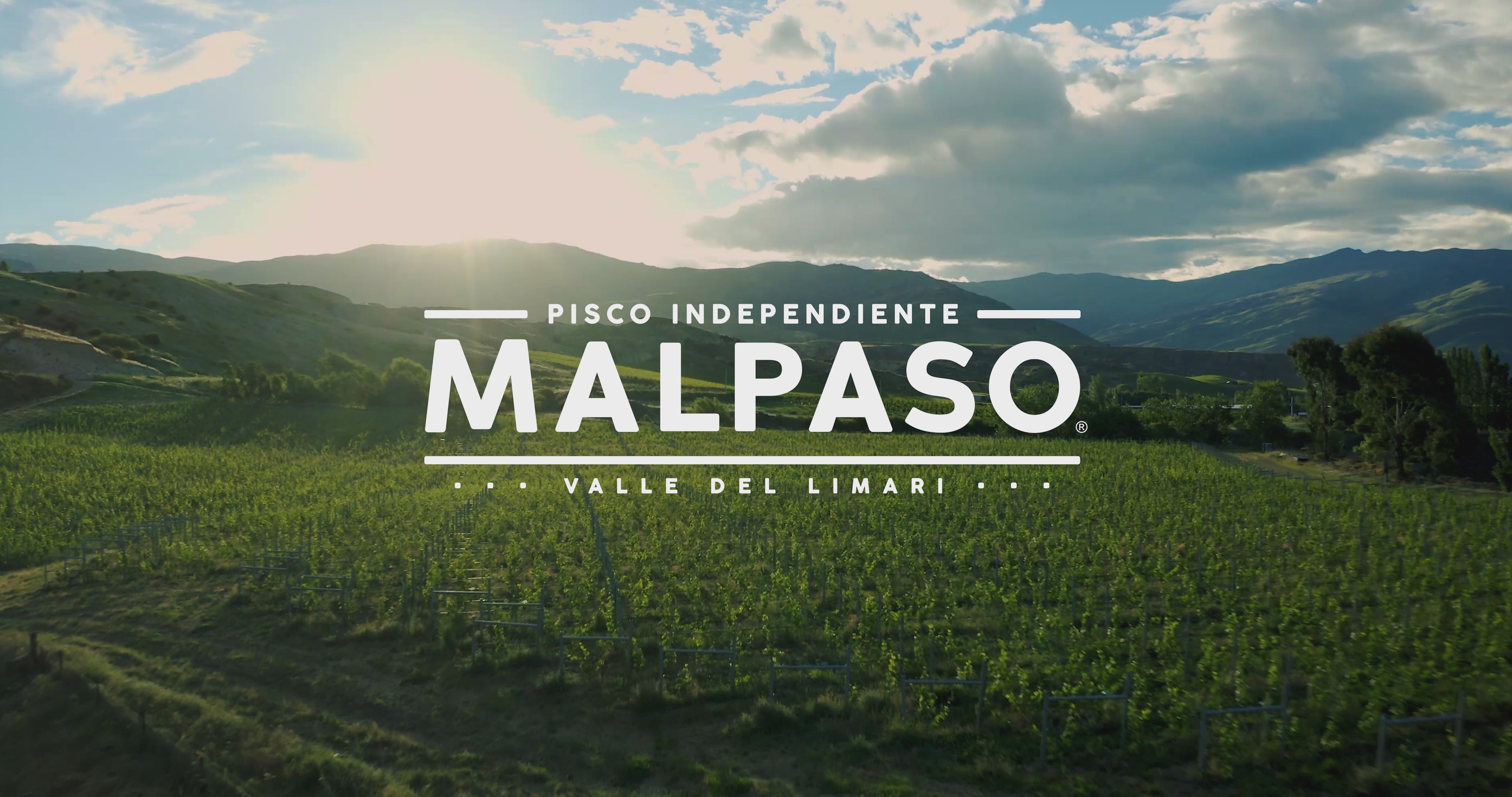 Cargar vídeo: Pisco MalPaso Pedro Jimenez 1 Litro
