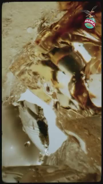 Cargar vídeo: Fernet Branca