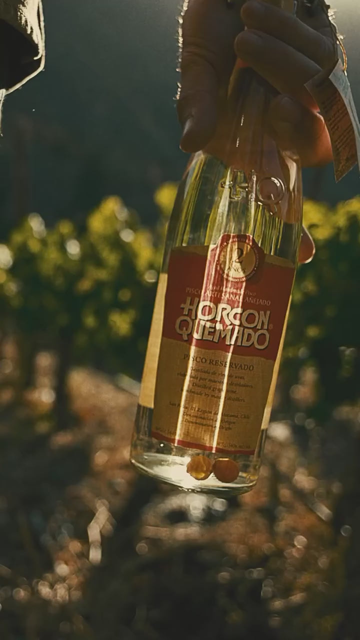 Cargar vídeo: Pisco Horcón Quemado 2 Años