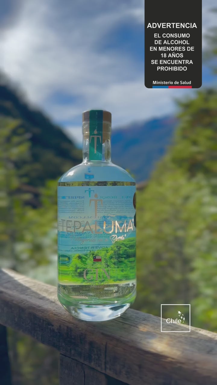 Cargar vídeo: Gin Tepaluma