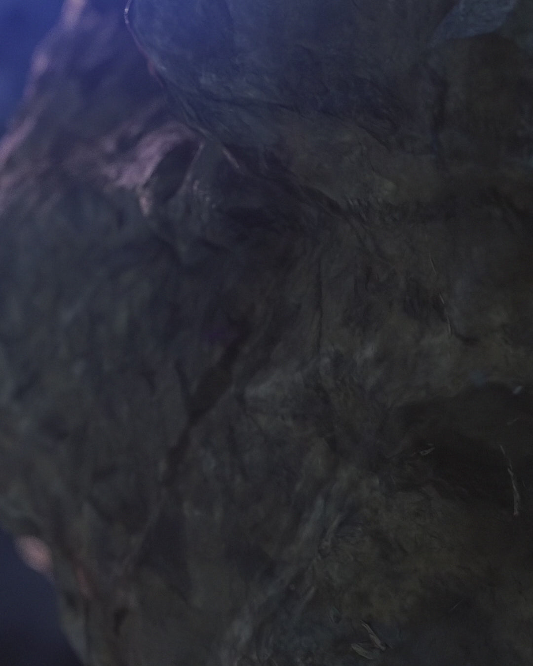 Cargar vídeo: Diablo Purple Malbec