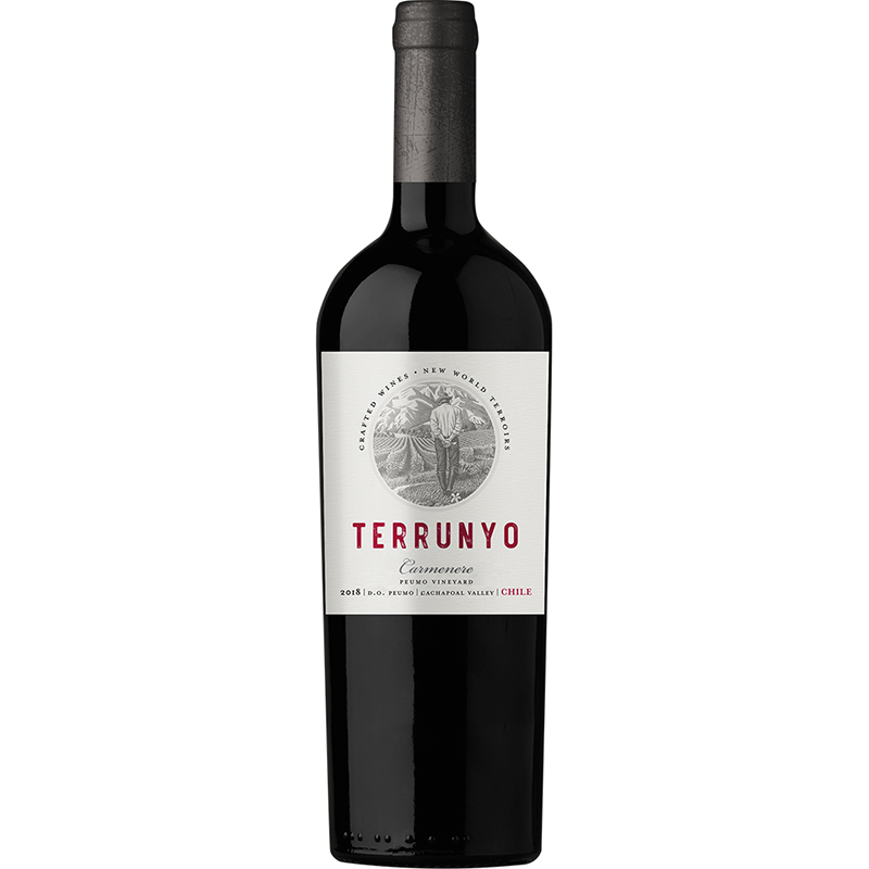 Terrunyo Carmenere - 1
