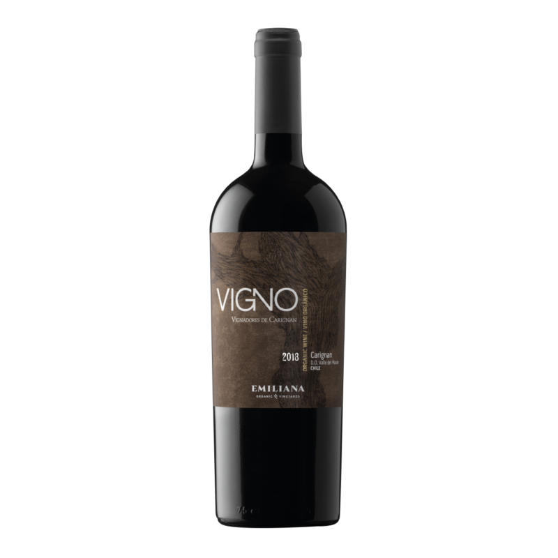 Vigno Carignan - 1