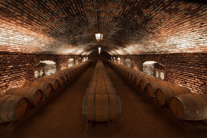 Visita Guiada Premium en Viña Concha y Toro, Pirque